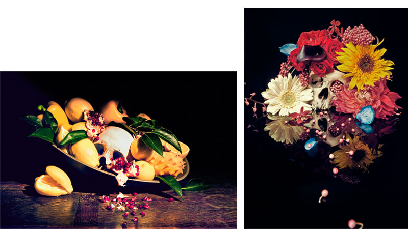 image/SKULLS